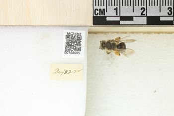 Media type: image;   Entomology 768685 Aspect: Labels